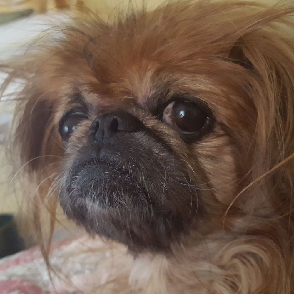 Meet your Posher, Patricia